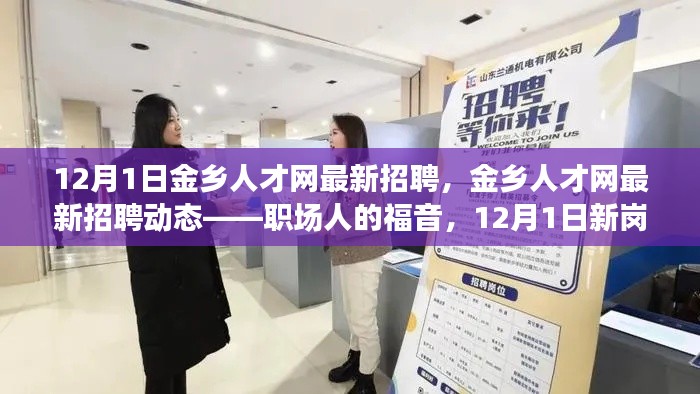 12月1日金乡人才网最新招聘动态，新岗位速递，职场人的福音