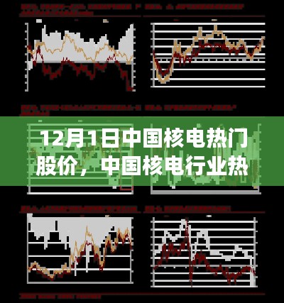 中国核电热门股票分析，聚焦股价走势，洞察十二月一日行业动态