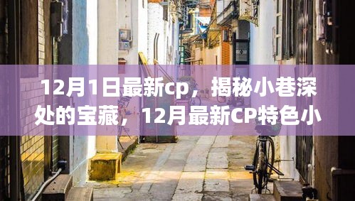 宝藏小巷揭秘，探寻宝藏特色小店探秘之旅