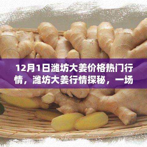 潍坊大姜行情探秘，寻找姜香之旅，12月热门行情解析