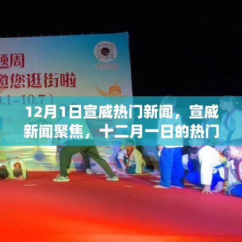 宣威热门新闻回顾，十二月一日事件聚焦与影响