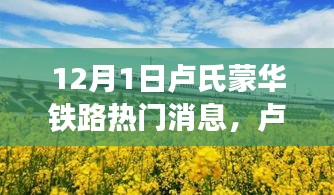 投诉与建议 第239页