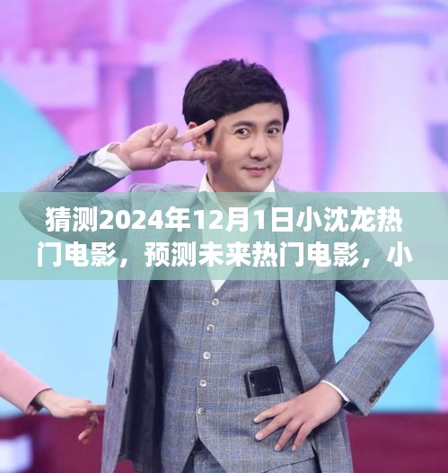 小沈龙电影探索之旅，预测未来热门电影指南（2024年12月版）