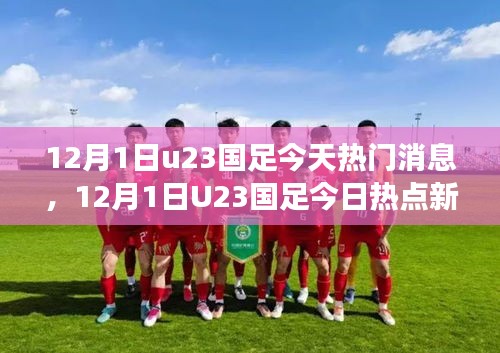 12月1日U23国足热点新闻解析，特性、体验、竞品对比及用户洞察