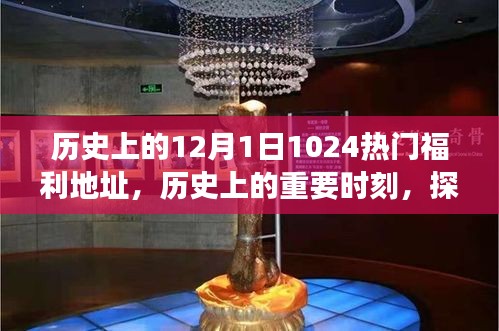 探寻十二月一日的热门福利地址背后的故事与意义，历史上的重要时刻揭秘