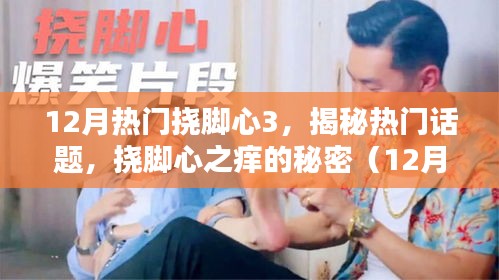 揭秘热门话题背后的秘密，挠脚心之痒的奥秘（最新12月版）