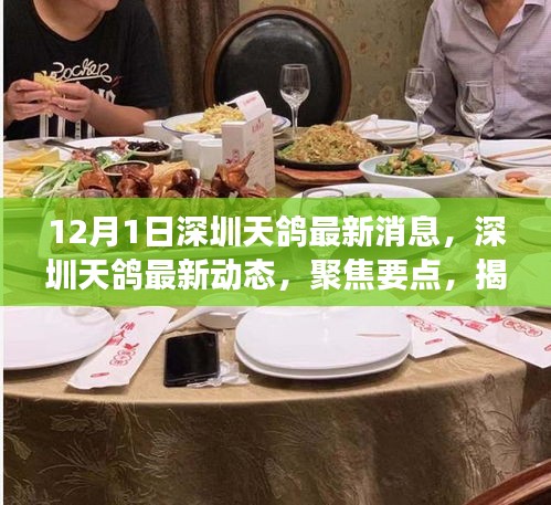 揭秘天鸽科技前沿进展，深圳天鸽最新动态与消息聚焦