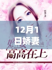 娇妻高高在上，最新章节解析与时代背景深度探讨