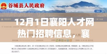 新手上路 第209页