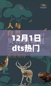 12月DTS热门自然探索之旅，与大自然的共舞日