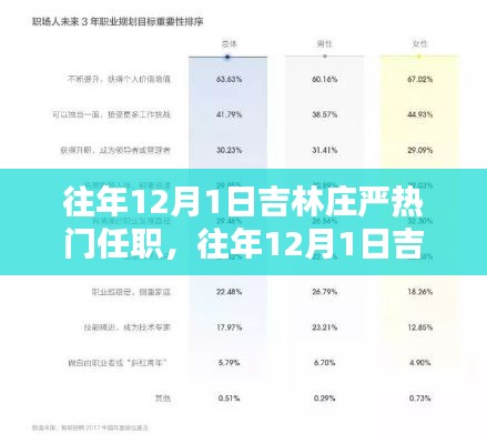 吉林庄严热门任职深度解析，特性、体验、竞品对比及用户群体分析报告