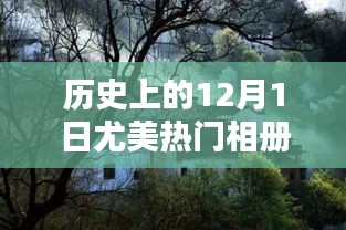 探秘尤美热门相册，12月1日宝藏记忆独家呈现