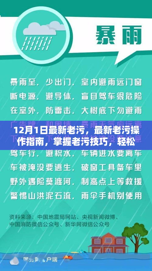 老污操作指南，掌握技巧，应对日常挑战（适合初学者与进阶用户）