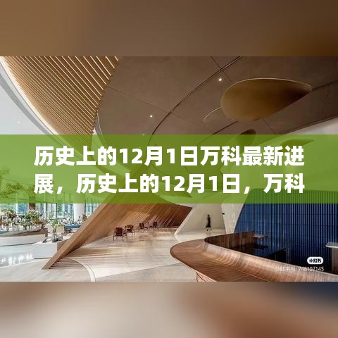 历史上的12月1日万科深度进展解析，最新动态概览