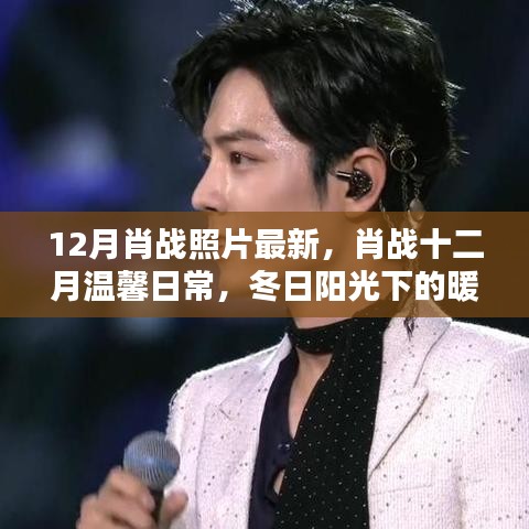 肖战十二月暖心瞬间，冬日阳光下的温馨日常照
