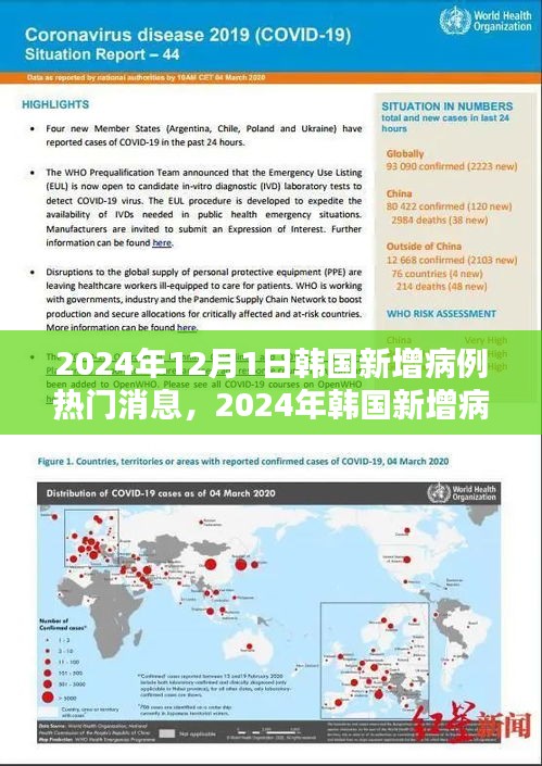 2024年韩国新增病例热门消息解析与应对指南，初学者与进阶用户的必备参考