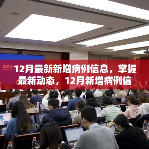 12月最新新增病例信息详解，掌握最新动态与步骤指南