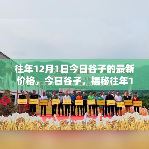 揭秘往年12月1日谷子市场最新价格走势及今日谷子行情分析