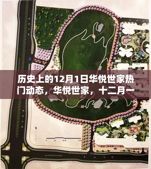 华悦世家十二月一日历史热门动态与温馨日常回顾