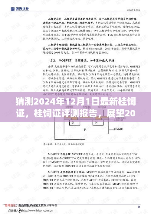 2024年桂饲证评测报告，新特性、用户体验与目标用户分析