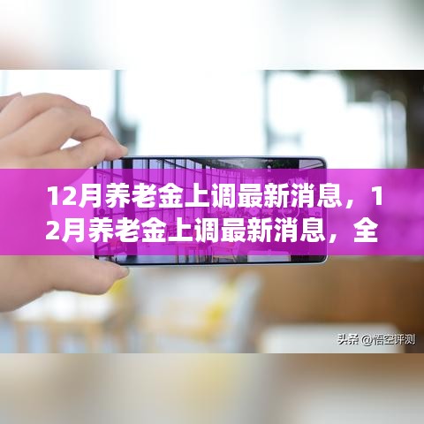 12月养老金调整最新动态，全面解读调整细节与产品特性，深度剖析用户体验