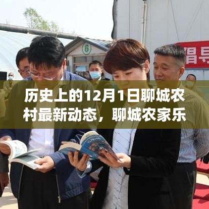 聊城农家乐，友谊、爱与陪伴的温馨日常——十二月故事回顾