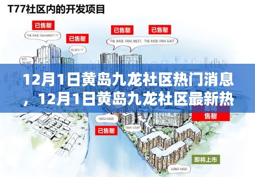 黄岛九龙社区最新热门消息速递