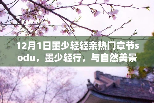 墨少轻行，与自然美景的浪漫邂逅——寻找内心平静的旅程章节精选 12月1日 sodu