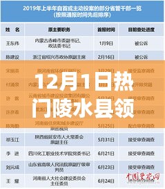 陵水县领导名单测评报告，特性、体验、竞品对比及用户群体深度解析