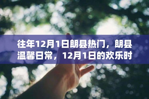 朗县温馨日常，12月1日的欢乐时光回顾