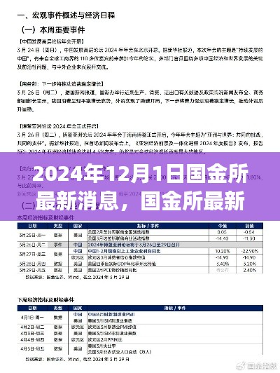 国金所最新动态速递，深度解读国金所最新消息（深度报道）