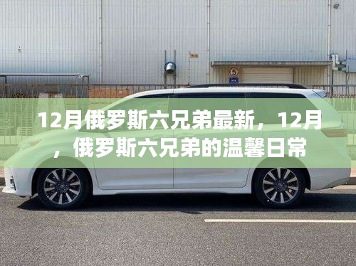 12月俄罗斯六兄弟最新，12月，俄罗斯六兄弟的温馨日常