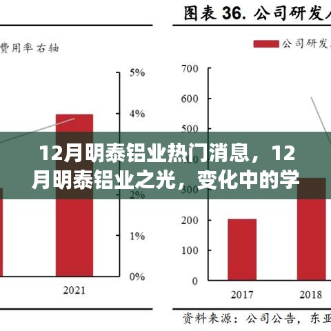 12月明泰铝业，变革中的学习之旅与成就感的源泉