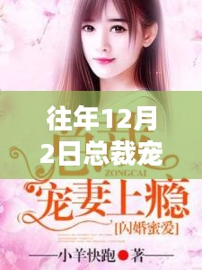 暖冬宠爱，总裁宠妻百分百的甜蜜十二月记事