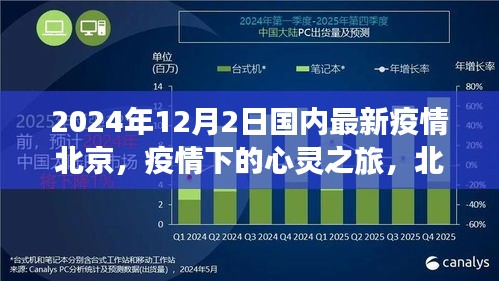 衣不完采 第4页