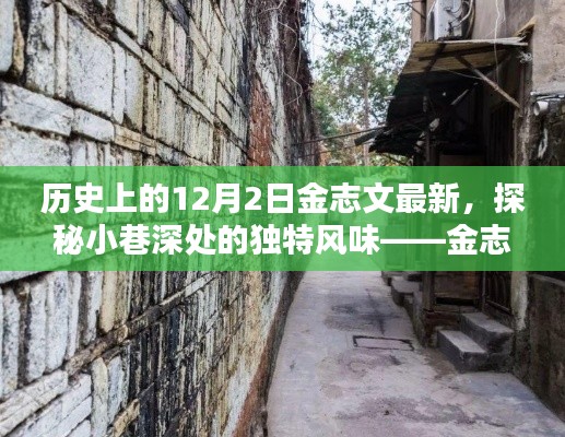 历史上的12月2日金志文最新，探秘小巷深处的独特风味——金志文最新历史下的隐藏瑰宝