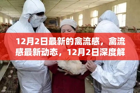 深度解析，最新禽流感动态及影响