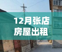 张店房屋出租信息12月最新版解析