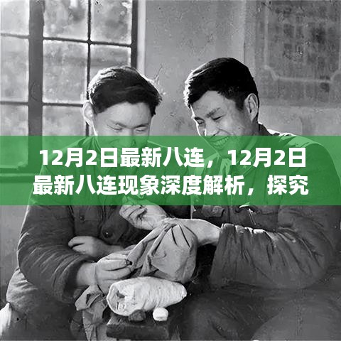 12月2日最新八连现象，深度解析与多方观点影响探究