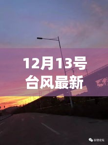 尽心尽力 第4页