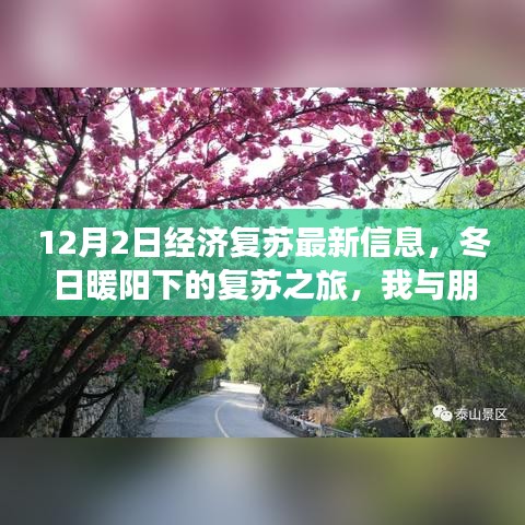 冬日暖阳下的经济复苏之旅，我与朋友们的温馨日常体验报告