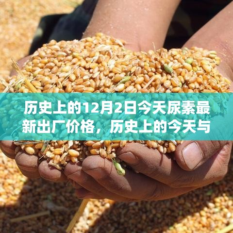 历史上的今天与尿素最新出厂价格深度分析与观察