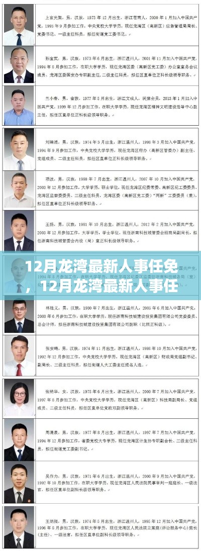 12月龙湾最新人事任免详解，步骤指南与人事变动概览
