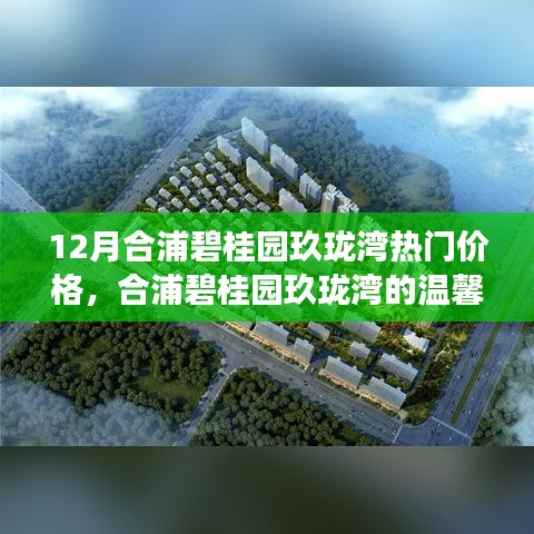 合浦碧桂园玖珑湾探秘，热门价格与温馨之旅