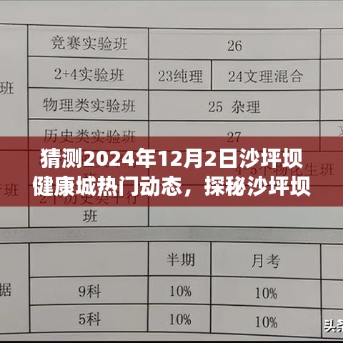 探秘沙坪坝健康城，未知小巷美食奇缘，预测未来热门动态揭秘于2024年12月2日