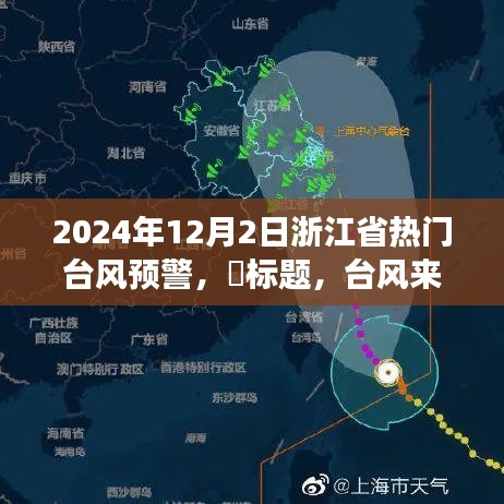 台风来袭之际，浙江小巷特色小店的故事与风暴背后的风味探索