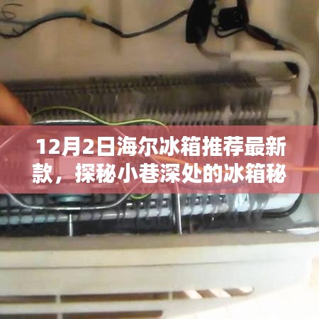 探秘冰箱秘境，海尔最新款冰箱推荐，带你领略隐藏宝藏（12月最新）