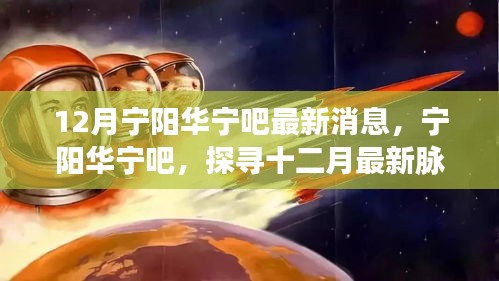 宁阳华宁吧最新动态，十二月最新消息与深远影响探索