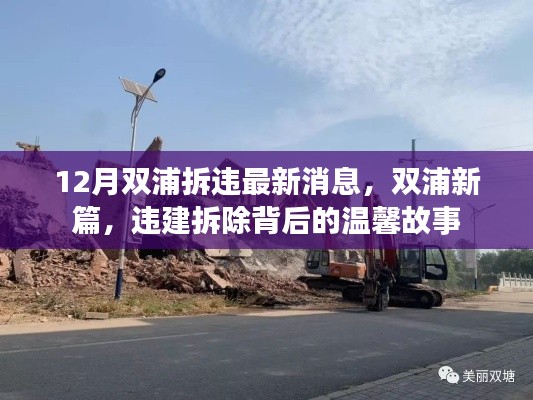 双浦新篇，违建拆除背后的故事与最新进展