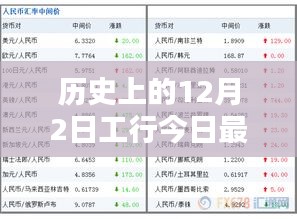 工行历史外汇牌价查询指南，12月2日最新外汇行情概览及初学者指南